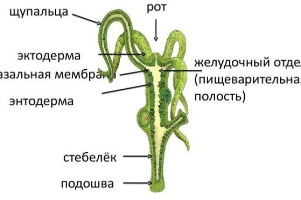 Кракен сайт как зайти