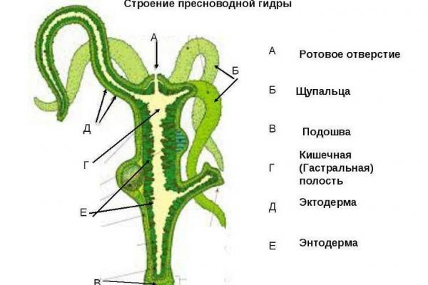 Кракен магазин kraken4am com