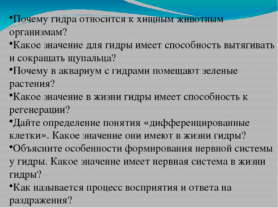 Кракен сайт в тор браузере